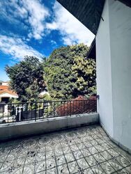 Palm Avenue (D15), Detached #561627801